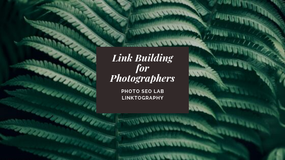 Linktography