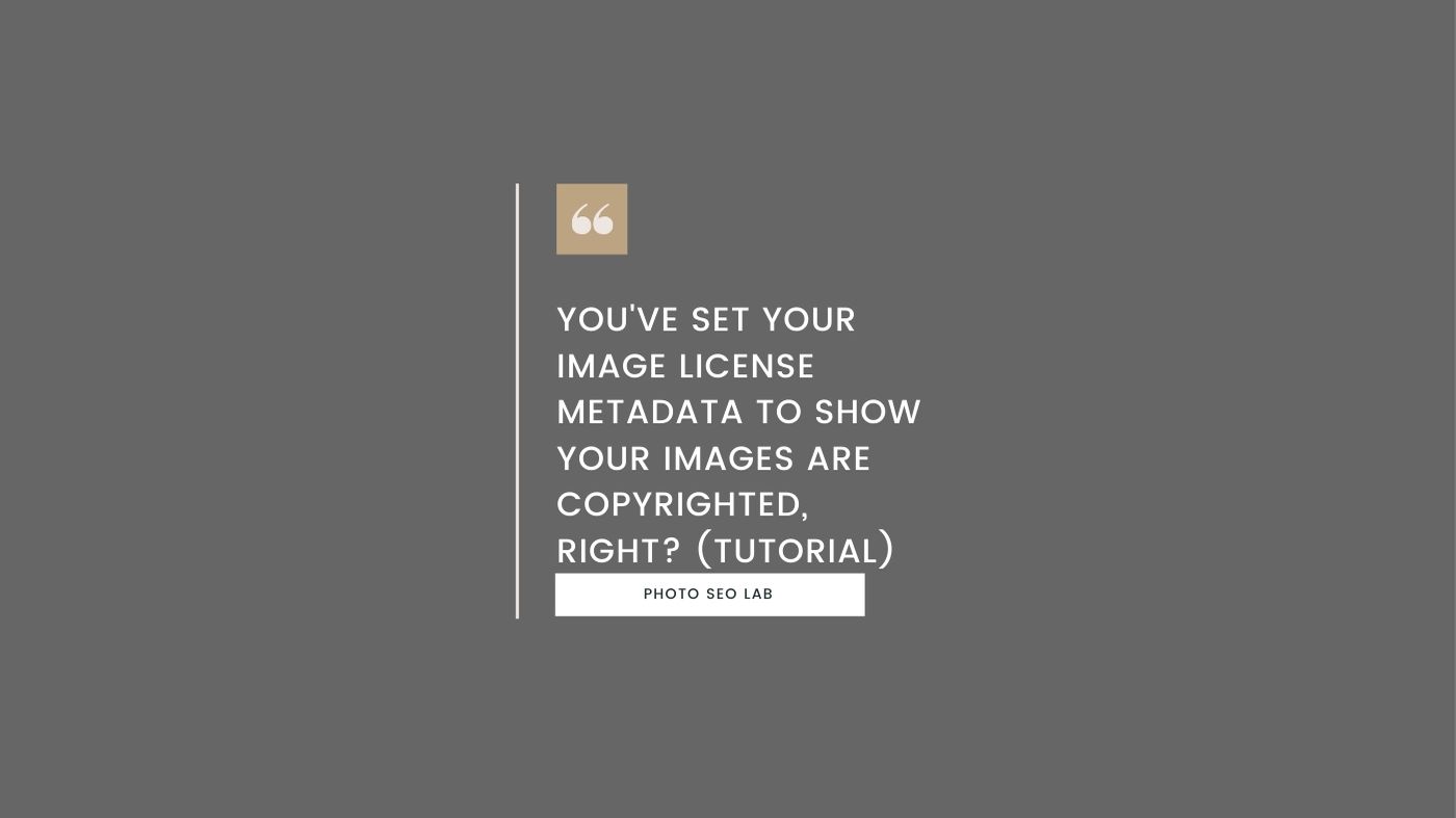 Illustrating image license metadata tutorial