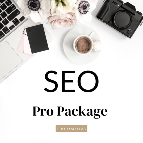 SEO pro package graphic