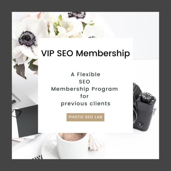 VIP SEO Membership option at Photo SEO Lab